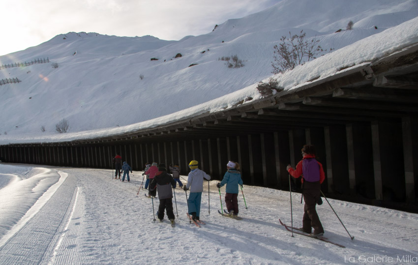 Groupe d'enfants en ski de fond