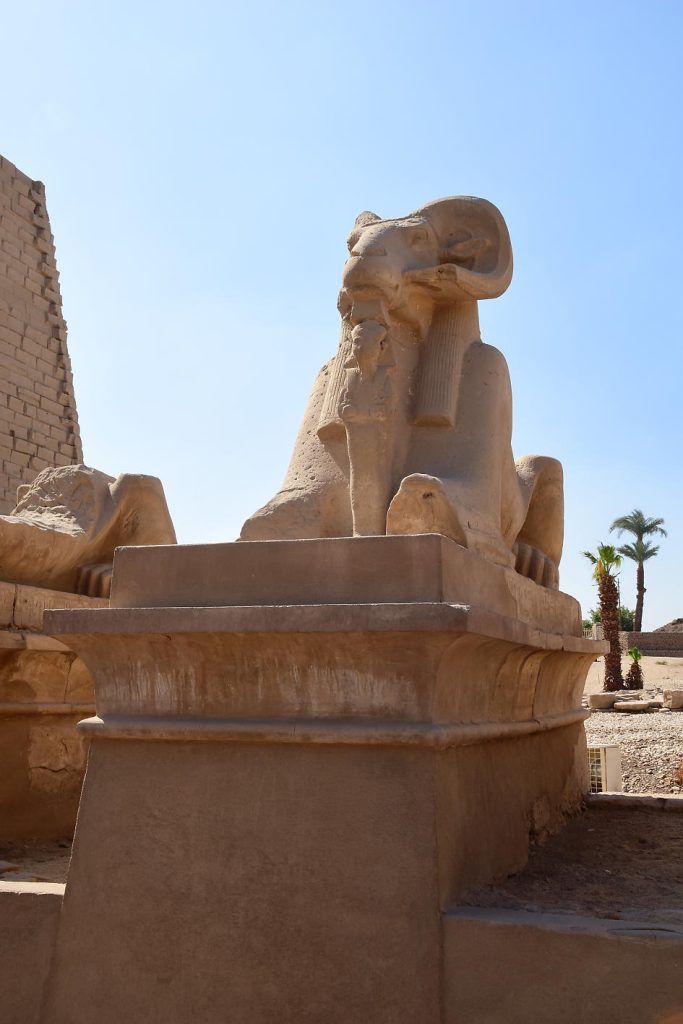 sphinx belier a karnak